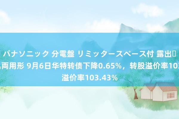 パナソニック 分電盤 リミッタースペース付 露出・半埋込両用形 9月6日华特转债下降0.65%，转股溢价率103.43%