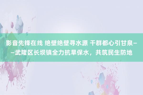 影音先锋在线 绝壁绝壁寻水源 干群都心引甘泉——武隆区长坝镇全力抗旱保水，共筑民生防地