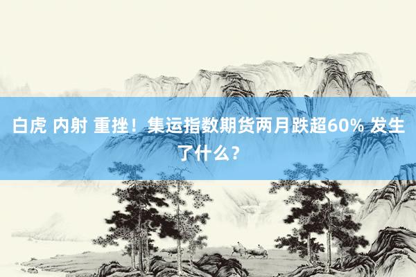 白虎 内射 重挫！集运指数期货两月跌超60% 发生了什么？