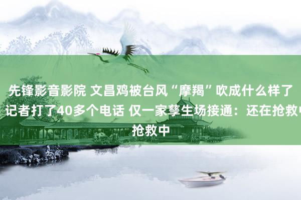 先锋影音影院 文昌鸡被台风“摩羯”吹成什么样了？记者打了40多个电话 仅一家孳生场接通：还在抢救中