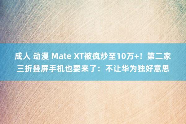 成人 动漫 Mate XT被疯炒至10万+！第二家三折叠屏手机也要来了：不让华为独好意思