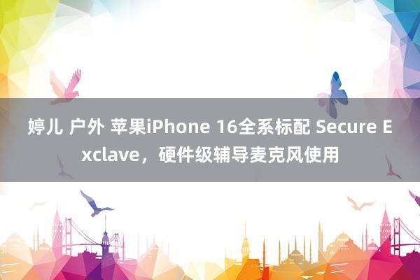 婷儿 户外 苹果iPhone 16全系标配 Secure Exclave，硬件级辅导麦克风使用