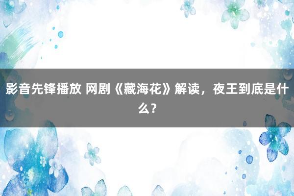 影音先锋播放 网剧《藏海花》解读，夜王到底是什么？