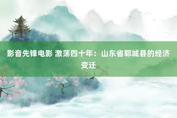 影音先锋电影 激荡四十年：山东省郓城县的经济变迁