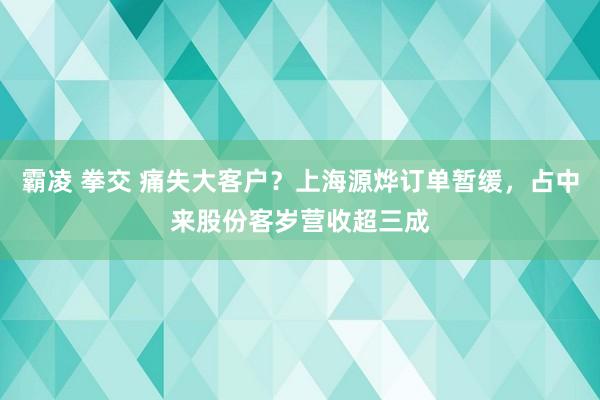 霸凌 拳交 痛失大客户？上海源烨订单暂缓，占中来股份客岁营收超三成