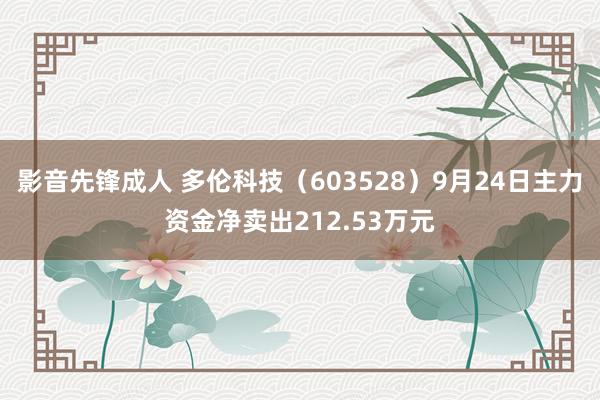 影音先锋成人 多伦科技（603528）9月24日主力资金净卖出212.53万元