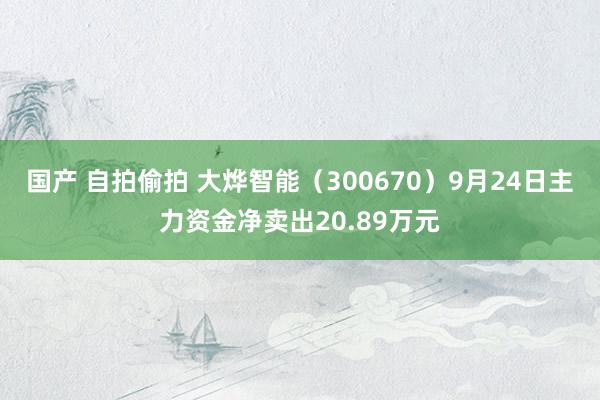 国产 自拍偷拍 大烨智能（300670）9月24日主力资金净卖出20.89万元