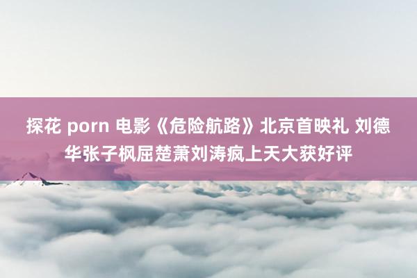 探花 porn 电影《危险航路》北京首映礼 刘德华张子枫屈楚萧刘涛疯上天大获好评