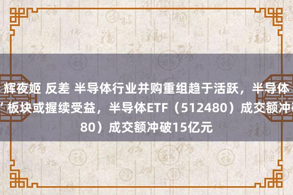 辉夜姬 反差 半导体行业并购重组趋于活跃，半导体“硬科技”板块或握续受益，半导体ETF（512480）成交额冲破15亿元