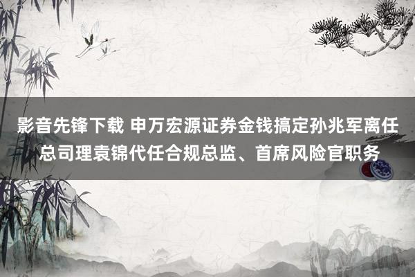 影音先锋下载 申万宏源证券金钱搞定孙兆军离任 总司理袁锦代任合规总监、首席风险官职务