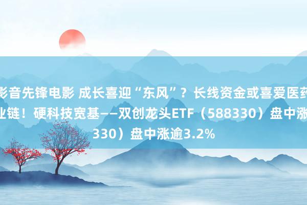 影音先锋电影 成长喜迎“东风”？长线资金或喜爱医药和AI产业链！硬科技宽基——双创龙头ETF（588330）盘中涨逾3.2%