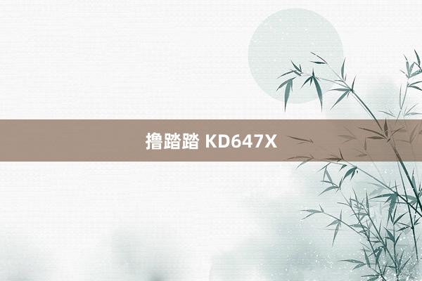 撸踏踏 KD647X