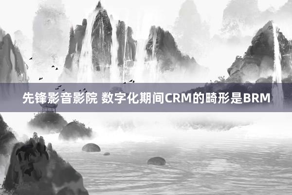 先锋影音影院 数字化期间CRM的畸形是BRM