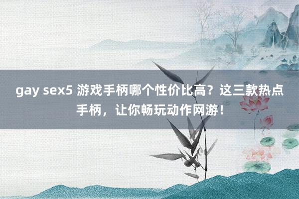 gay sex5 游戏手柄哪个性价比高？这三款热点手柄，让你畅玩动作网游！