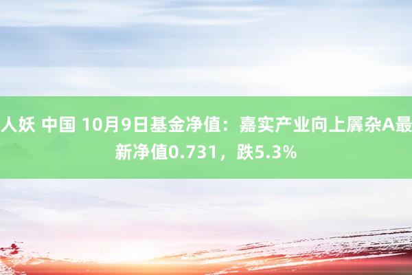 人妖 中国 10月9日基金净值：嘉实产业向上羼杂A最新净值0.731，跌5.3%