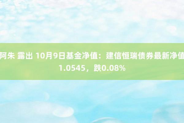 阿朱 露出 10月9日基金净值：建信恒瑞债券最新净值1.0545，跌0.08%