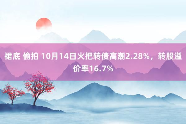 裙底 偷拍 10月14日火把转债高潮2.28%，转股溢价率16.7%