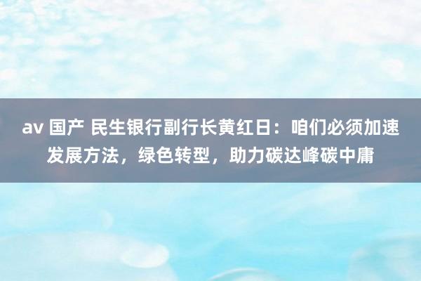 av 国产 民生银行副行长黄红日：咱们必须加速发展方法，绿色转型，助力碳达峰碳中庸