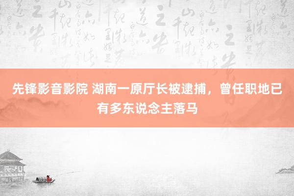 先锋影音影院 湖南一原厅长被逮捕，曾任职地已有多东说念主落马