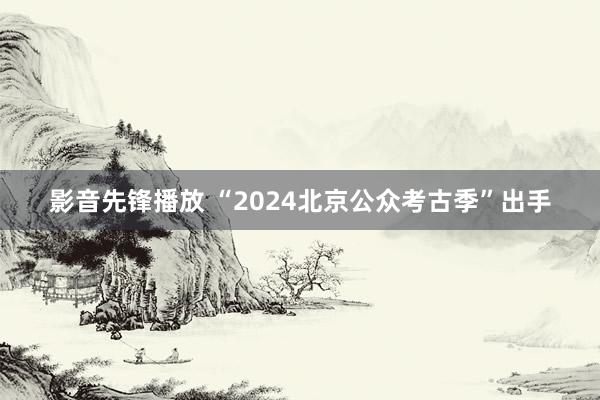 影音先锋播放 “2024北京公众考古季”出手