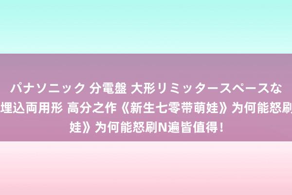 パナソニック 分電盤 大形リミッタースペースなし 露出・半埋込両用形 高分之作《新生七零带萌娃》为何能怒刷N遍皆值得！