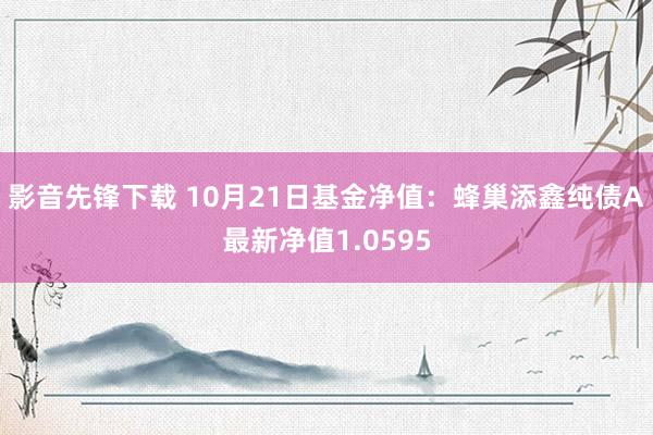 影音先锋下载 10月21日基金净值：蜂巢添鑫纯债A最新净值1.0595