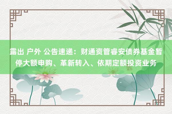 露出 户外 公告速递：财通资管睿安债券基金暂停大额申购、革新转入、依期定额投资业务