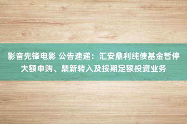 影音先锋电影 公告速递：汇安鼎利纯债基金暂停大额申购、鼎新转入及按期定额投资业务