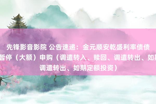 先锋影音影院 公告速递：金元顺安乾盛利率债债券基金基金暂停（大额）申购（调遣转入、赎回、调遣转出、如期定额投资）