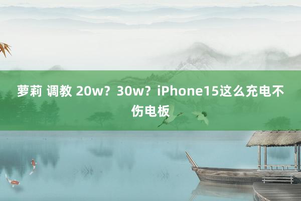 萝莉 调教 20w？30w？iPhone15这么充电不伤电板