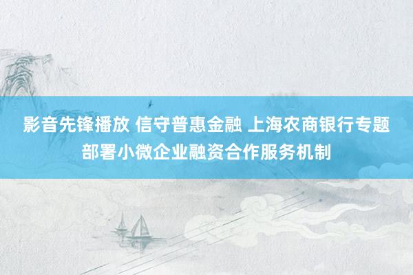 影音先锋播放 信守普惠金融 上海农商银行专题部署小微企业融资合作服务机制