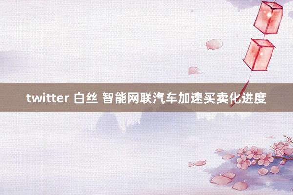 twitter 白丝 智能网联汽车加速买卖化进度