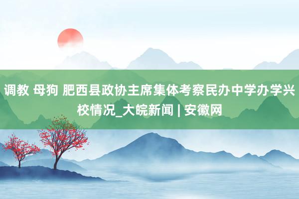 调教 母狗 肥西县政协主席集体考察民办中学办学兴校情况_大皖新闻 | 安徽网