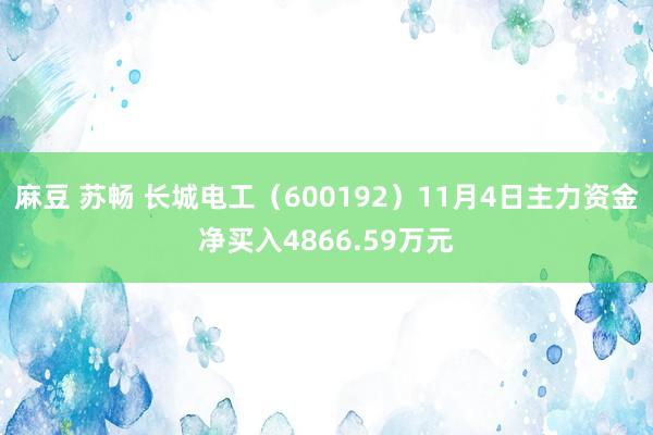 麻豆 苏畅 长城电工（600192）11月4日主力资金净买入4866.59万元