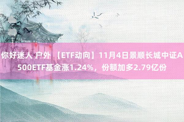 你好迷人 户外 【ETF动向】11月4日景顺长城中证A500ETF基金涨1.24%，份额加多2.79亿份