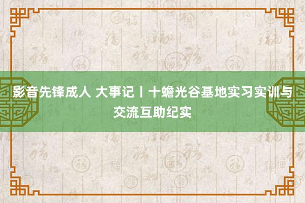 影音先锋成人 大事记丨十蟾光谷基地实习实训与交流互助纪实