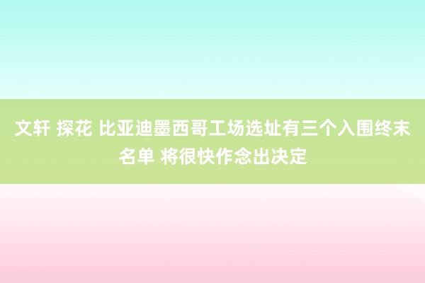 文轩 探花 比亚迪墨西哥工场选址有三个入围终末名单 将很快作念出决定