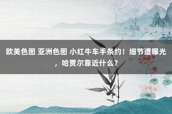 欧美色图 亚洲色图 小红牛车手条约！细节遭曝光，哈贾尔靠近什么？