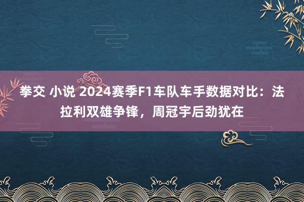 拳交 小说 2024赛季F1车队车手数据对比：法拉利双雄争锋，周冠宇后劲犹在