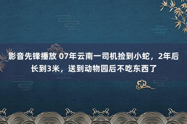 影音先锋播放 07年云南一司机捡到小蛇，2年后长到3米，送到动物园后不吃东西了