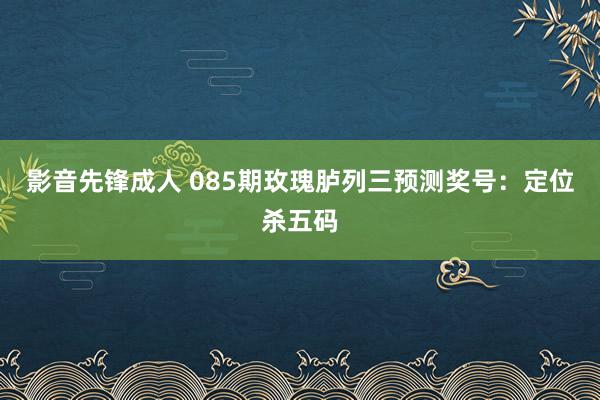 影音先锋成人 085期玫瑰胪列三预测奖号：定位杀五码